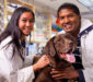 Veterinary courses